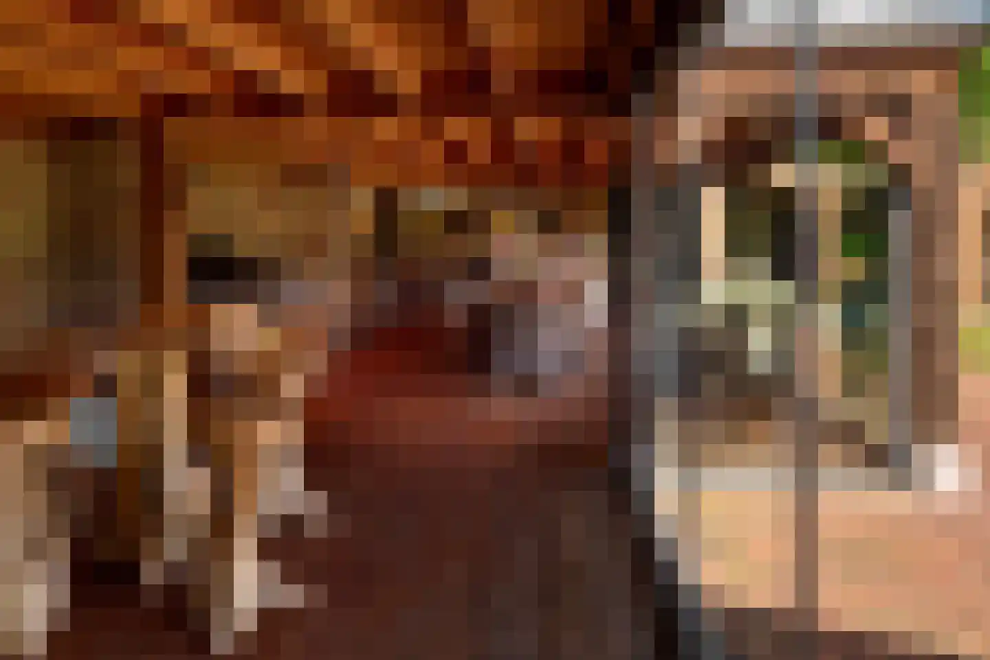 Lekerstraat 25 a Beek en Donk thumbnail 27