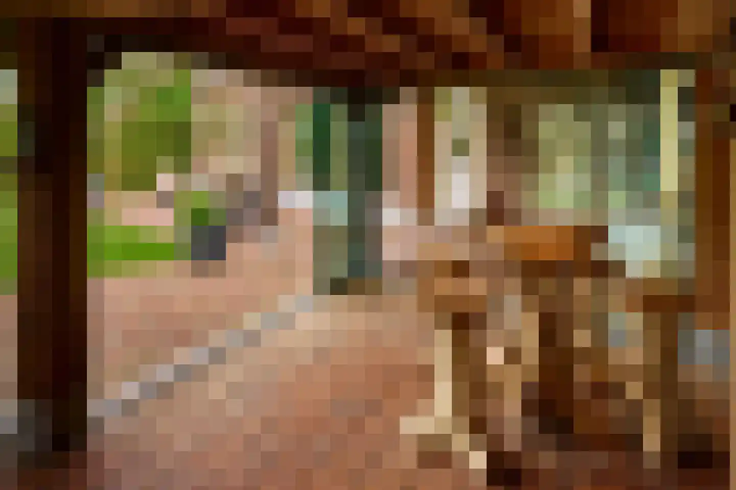 Lekerstraat 25 a Beek en Donk thumbnail 28