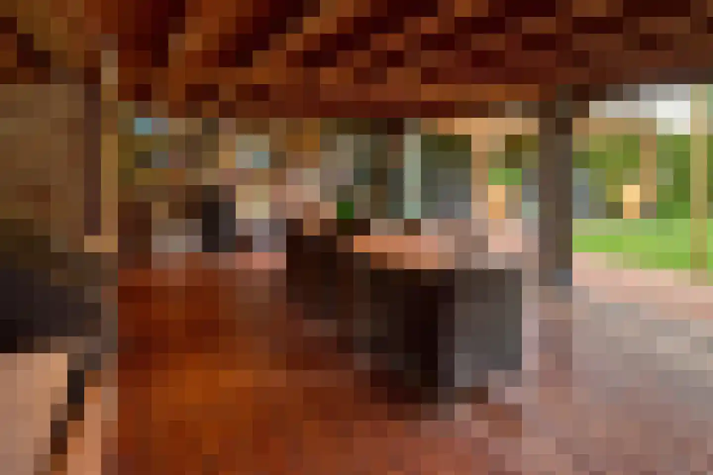 Lekerstraat 25 a Beek en Donk thumbnail 29