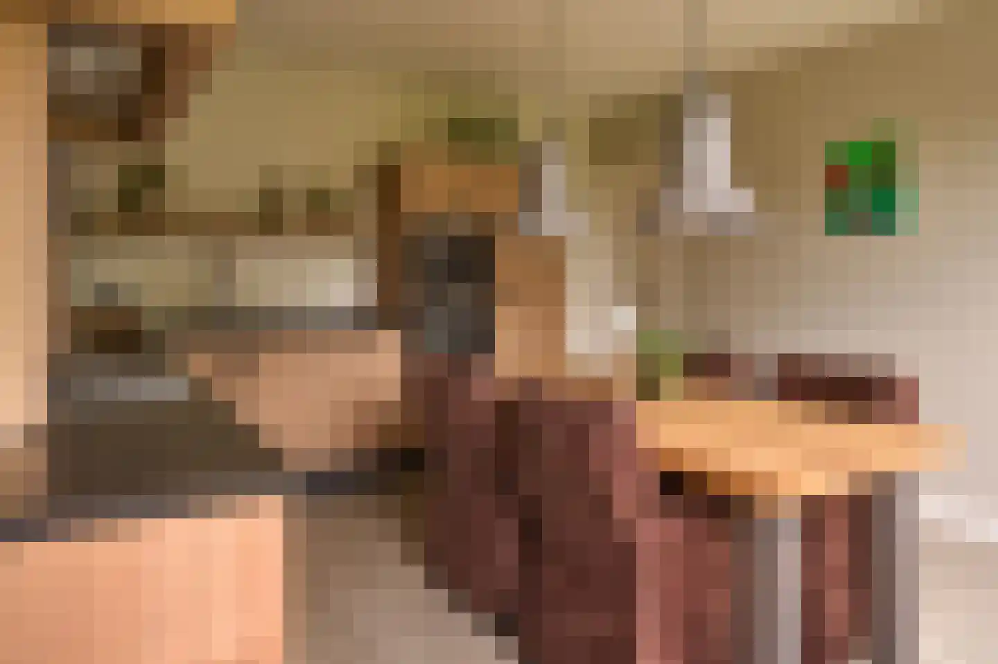 Lekerstraat 25 a Beek en Donk thumbnail 5