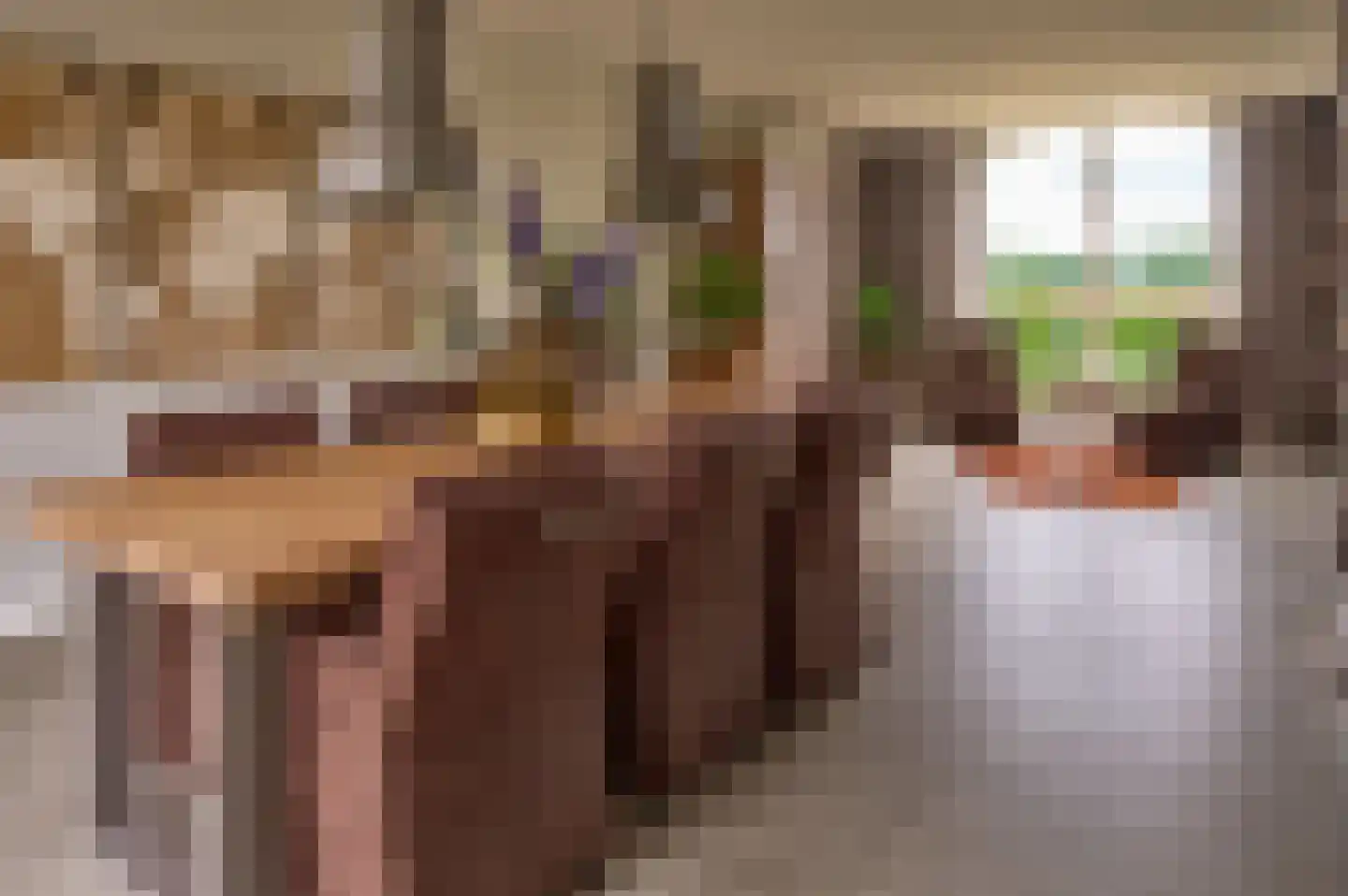 Lekerstraat 25 a Beek en Donk thumbnail 6