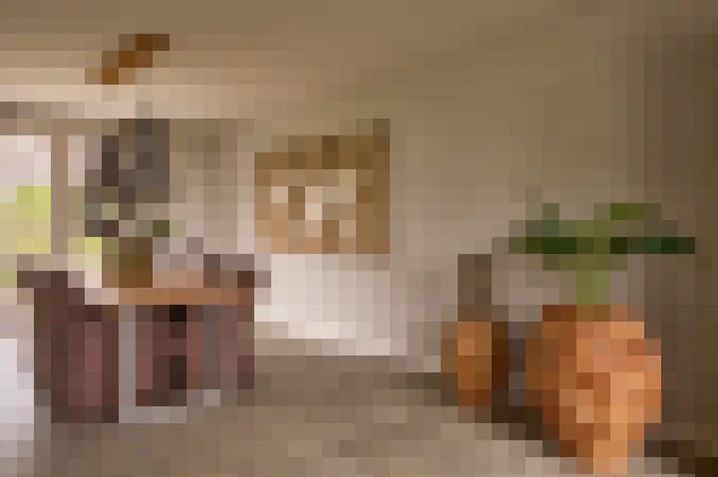 Lekerstraat 25 a Beek en Donk thumbnail 7