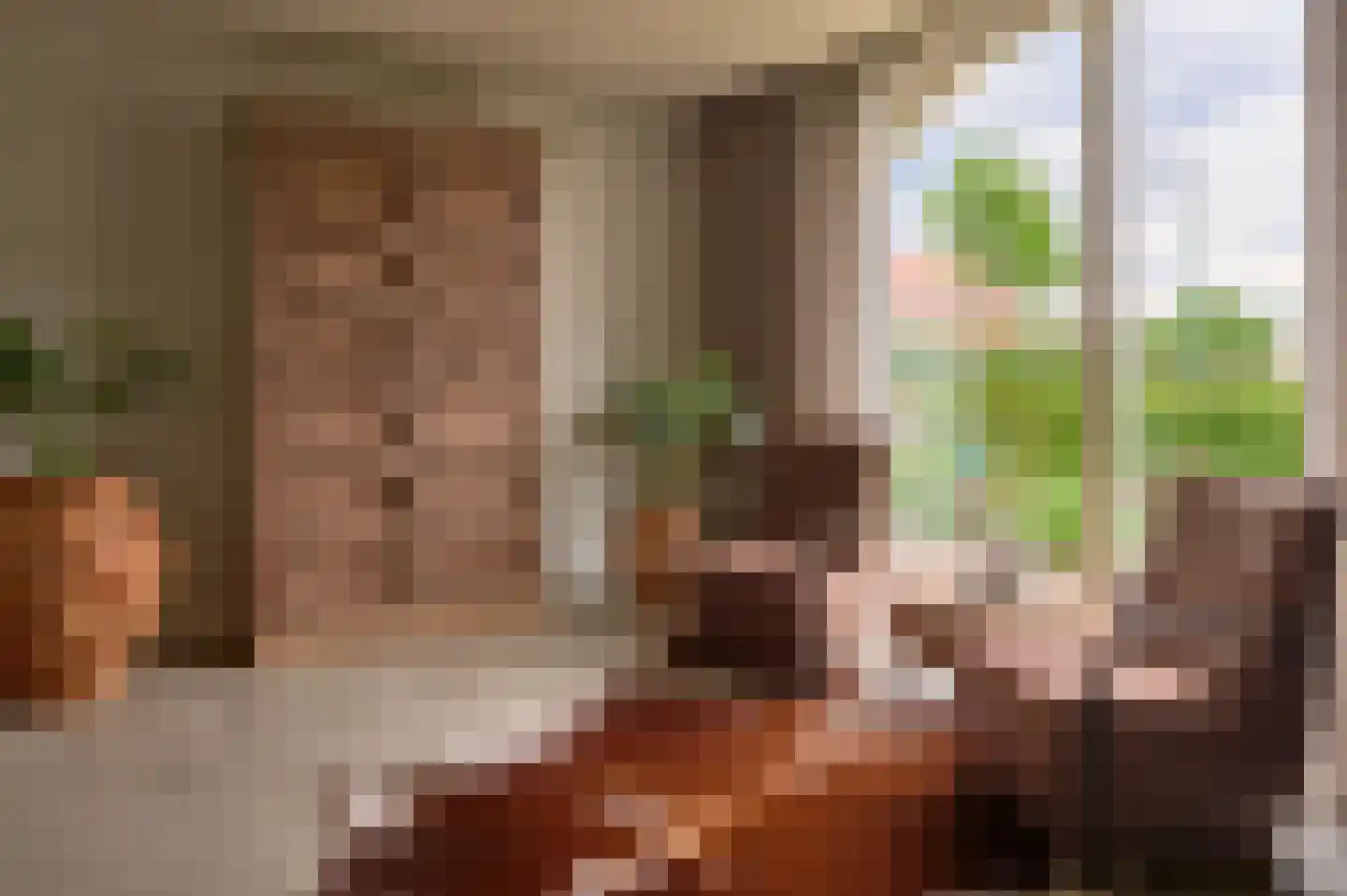 Lekerstraat 25 a Beek en Donk thumbnail 9