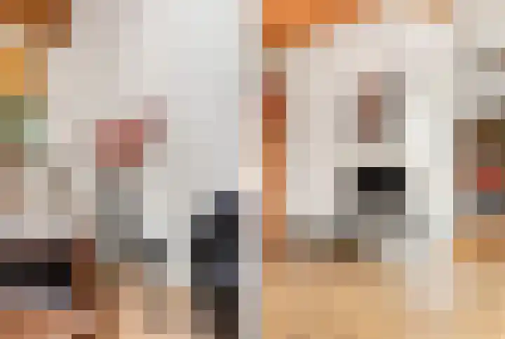 Lekerwaard 101 Alkmaar thumbnail 12