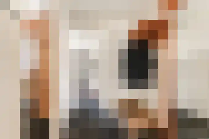 Lekerwaard 101 Alkmaar thumbnail 13