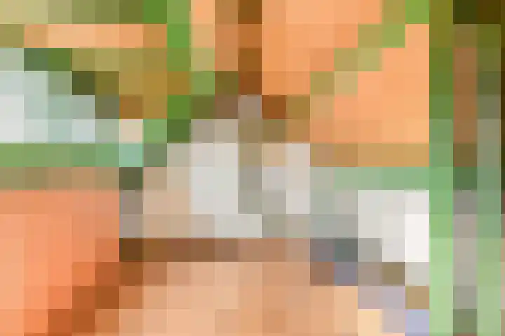 Lekerwaard 101 Alkmaar thumbnail 28