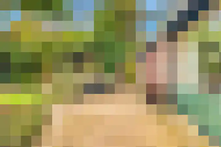 Lekerwaard 101 Alkmaar thumbnail 30