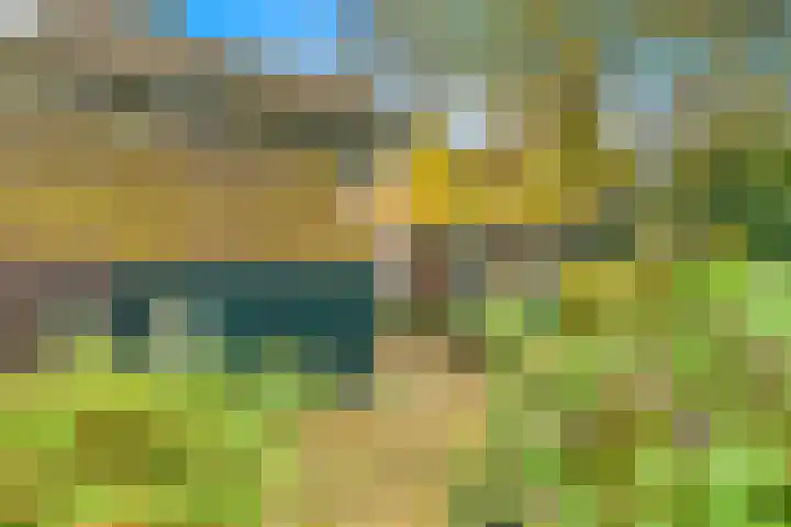 Lekerwaard 101 Alkmaar thumbnail 33