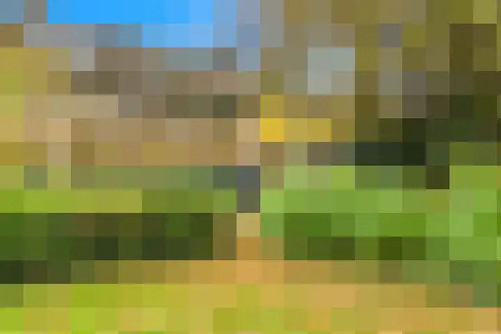 Lekerwaard 101 Alkmaar thumbnail 34