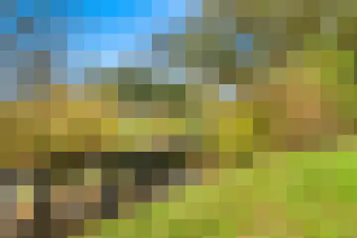 Lekerwaard 101 Alkmaar thumbnail 36