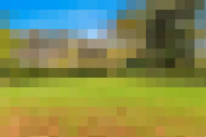 Lekerwaard 101 Alkmaar thumbnail 37