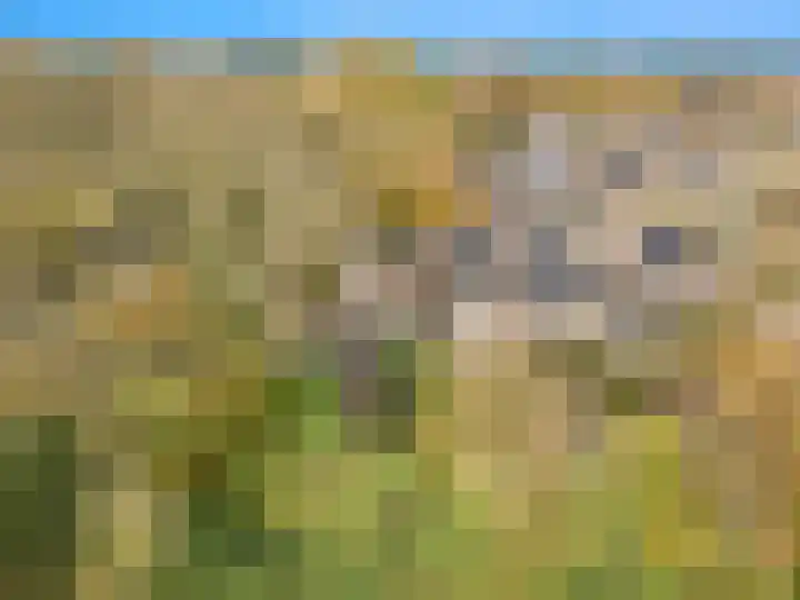 Lekerwaard 101 Alkmaar thumbnail 40