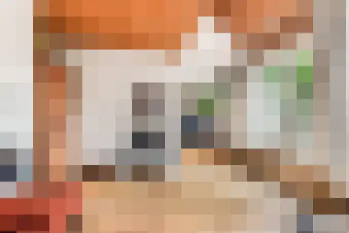 Lekerwaard 101 Alkmaar thumbnail 5