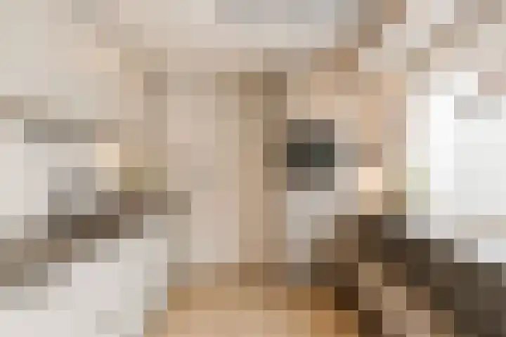 Lekerwaard 149 Alkmaar thumbnail 11