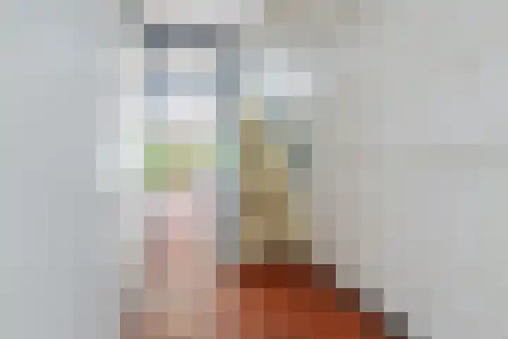 Lekerwaard 149 Alkmaar thumbnail 19