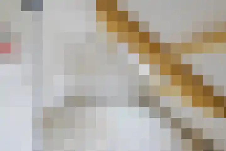Lekerwaard 149 Alkmaar thumbnail 25