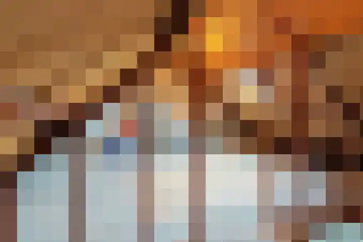 Lekerwaard 149 Alkmaar thumbnail 28