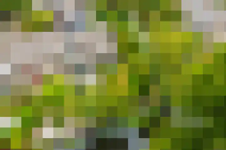 Lekerwaard 149 Alkmaar thumbnail 30
