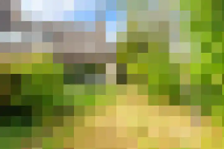 Lekerwaard 149 Alkmaar thumbnail 31