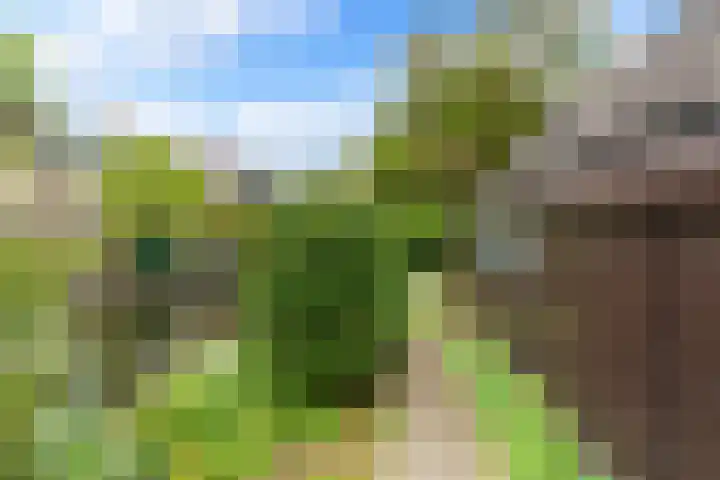 Lekerwaard 149 Alkmaar thumbnail 32