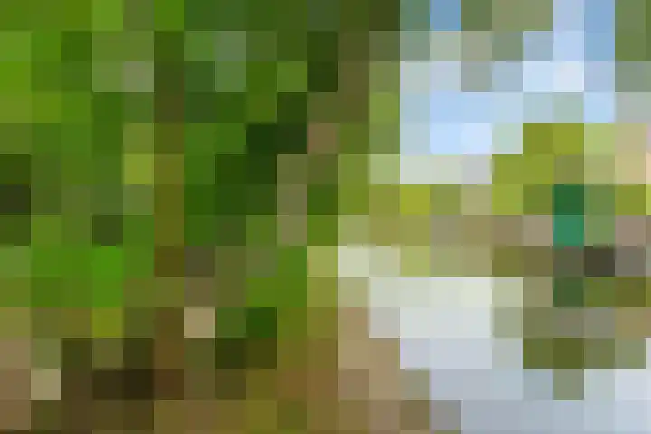 Lekerwaard 149 Alkmaar thumbnail 33