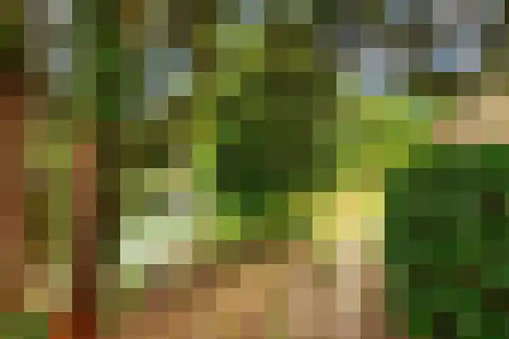 Lekerwaard 149 Alkmaar thumbnail 35