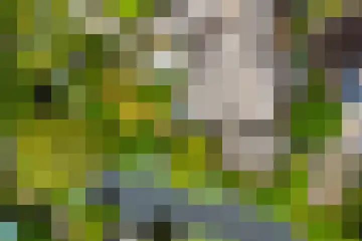 Lekerwaard 149 Alkmaar thumbnail 37