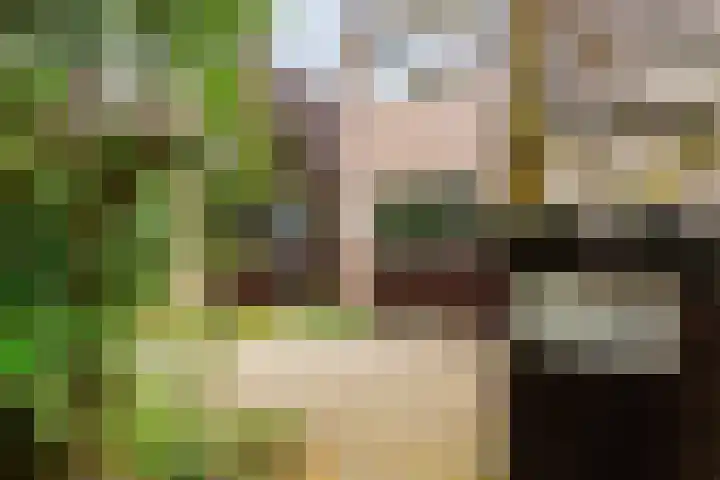 Lekerwaard 149 Alkmaar thumbnail 4