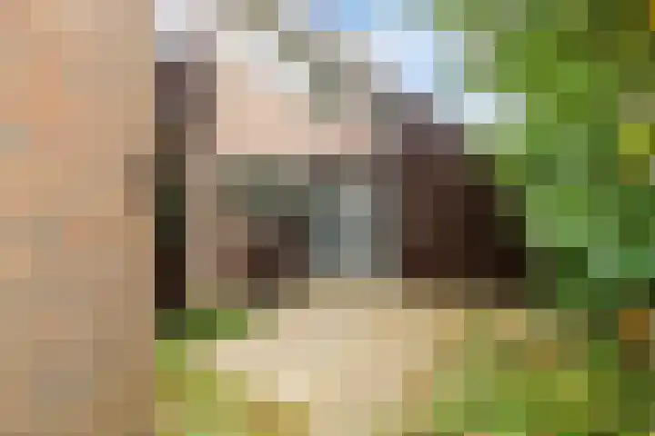 Lekerwaard 149 Alkmaar thumbnail 5