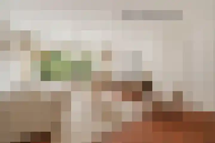 Lekerwaard 149 Alkmaar thumbnail 7