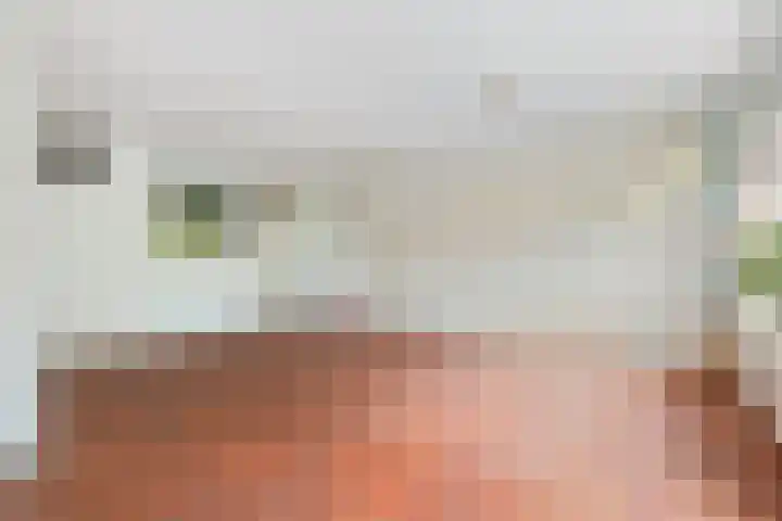 Lekerwaard 149 Alkmaar thumbnail 8