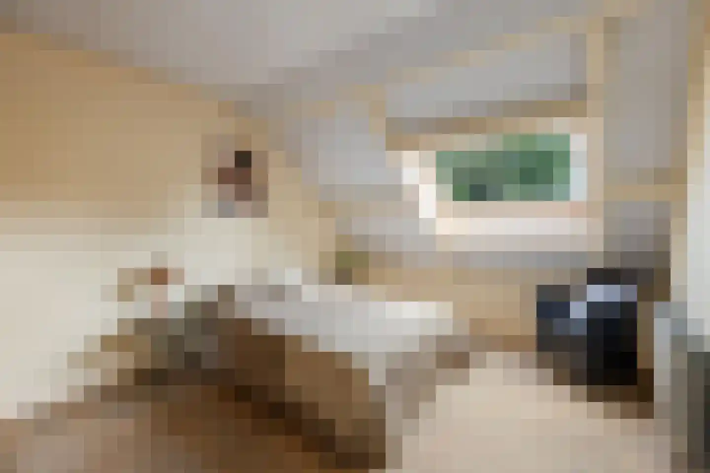 Lekerwaard 151 Alkmaar thumbnail 23