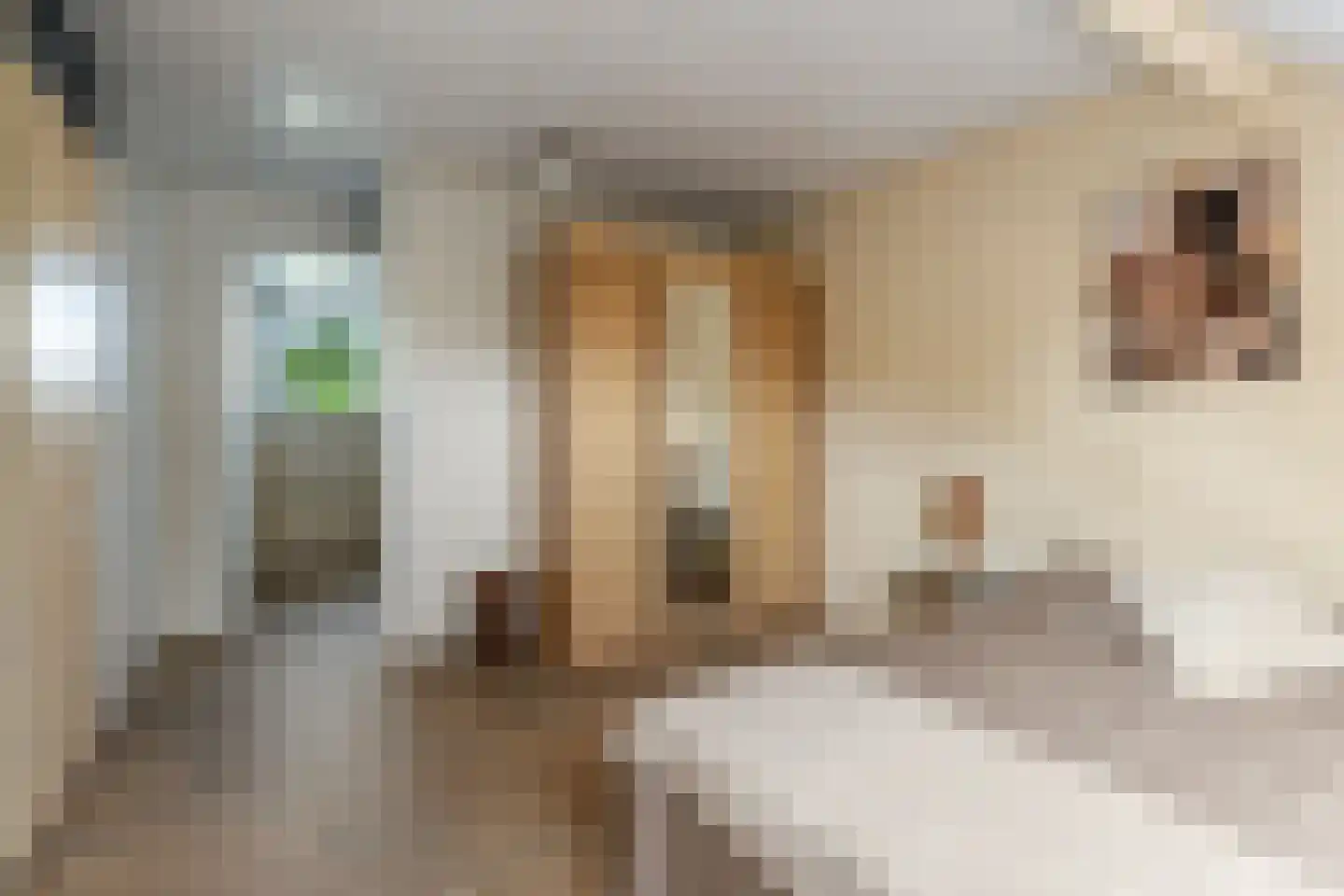 Lekerwaard 151 Alkmaar thumbnail 24