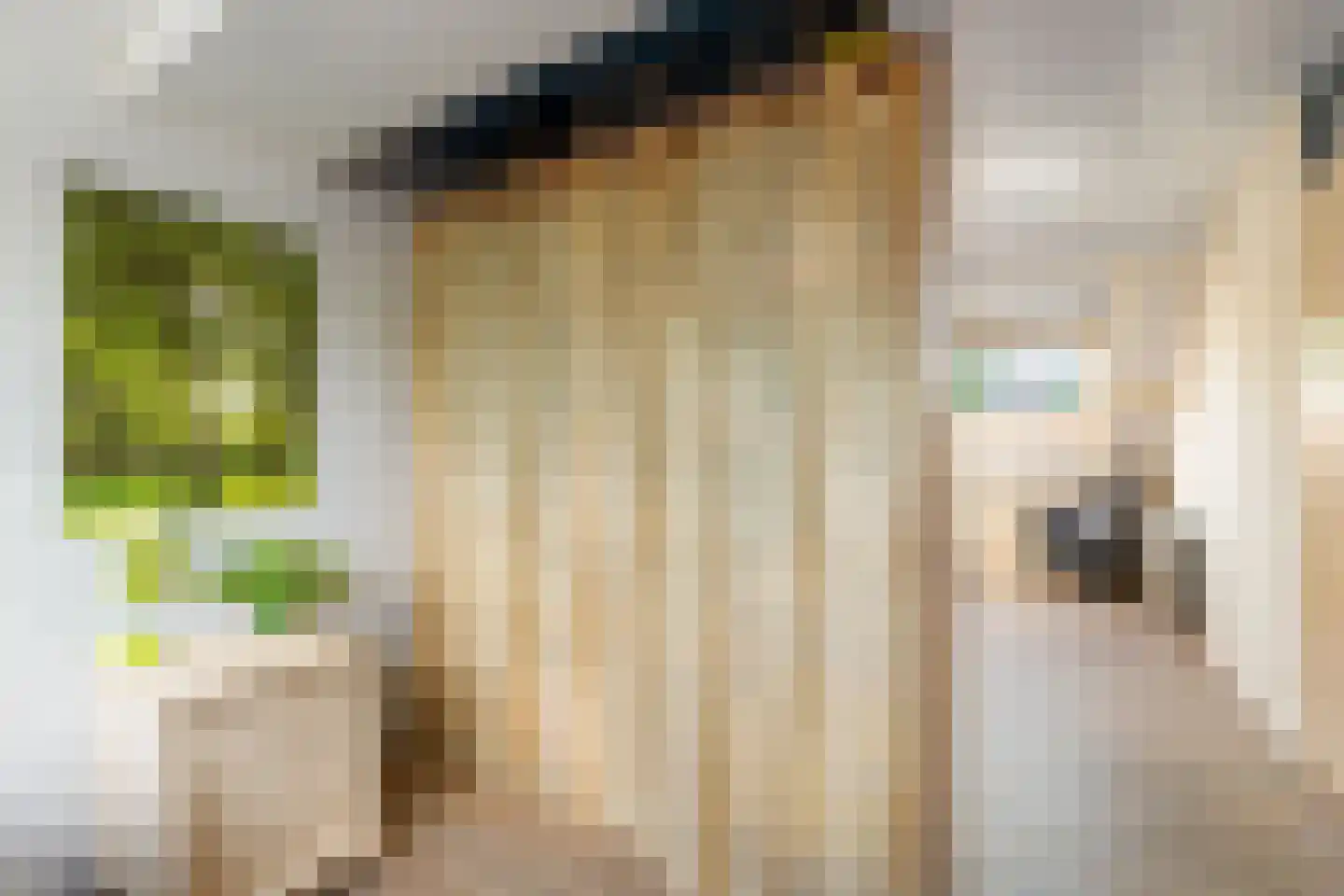 Lekerwaard 151 Alkmaar thumbnail 26