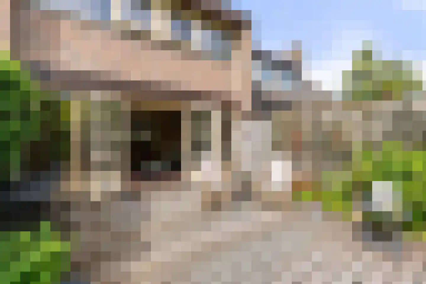 Lekerwaard 151 Alkmaar thumbnail 29