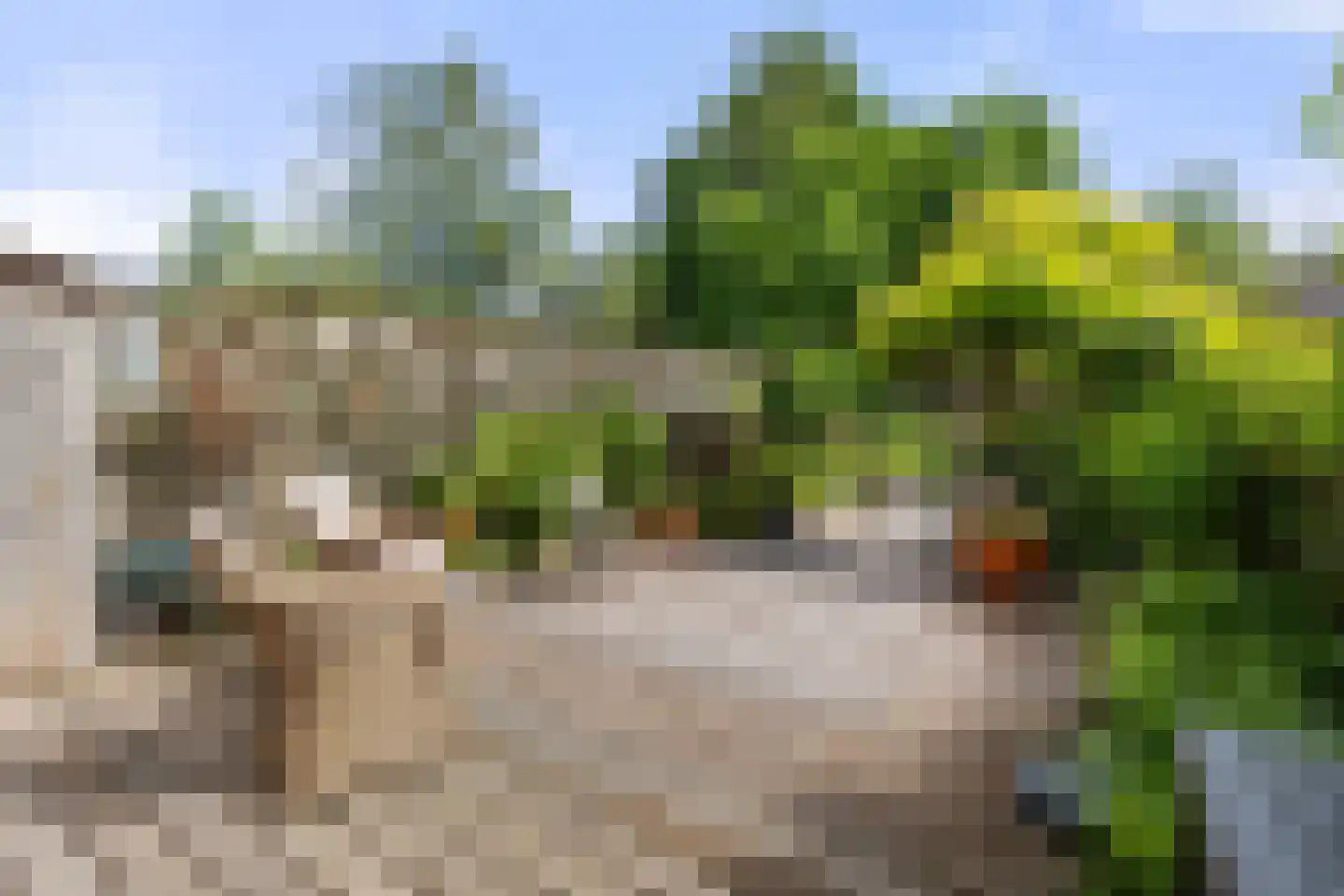 Lekerwaard 151 Alkmaar thumbnail 30