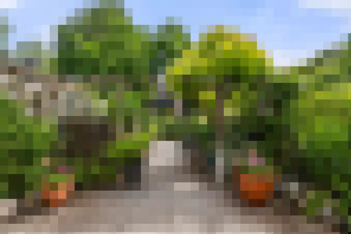 Lekerwaard 151 Alkmaar thumbnail 31