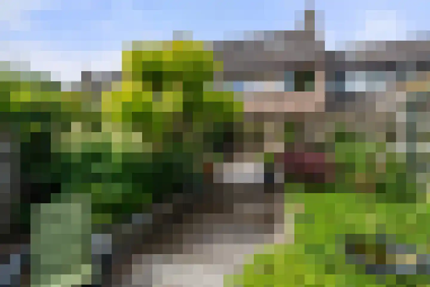 Lekerwaard 151 Alkmaar thumbnail 32