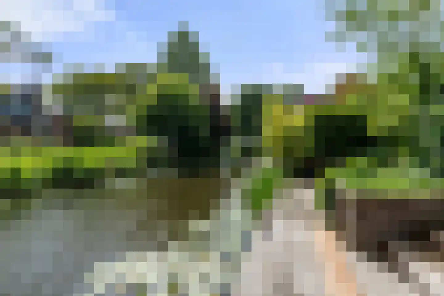 Lekerwaard 151 Alkmaar thumbnail 33