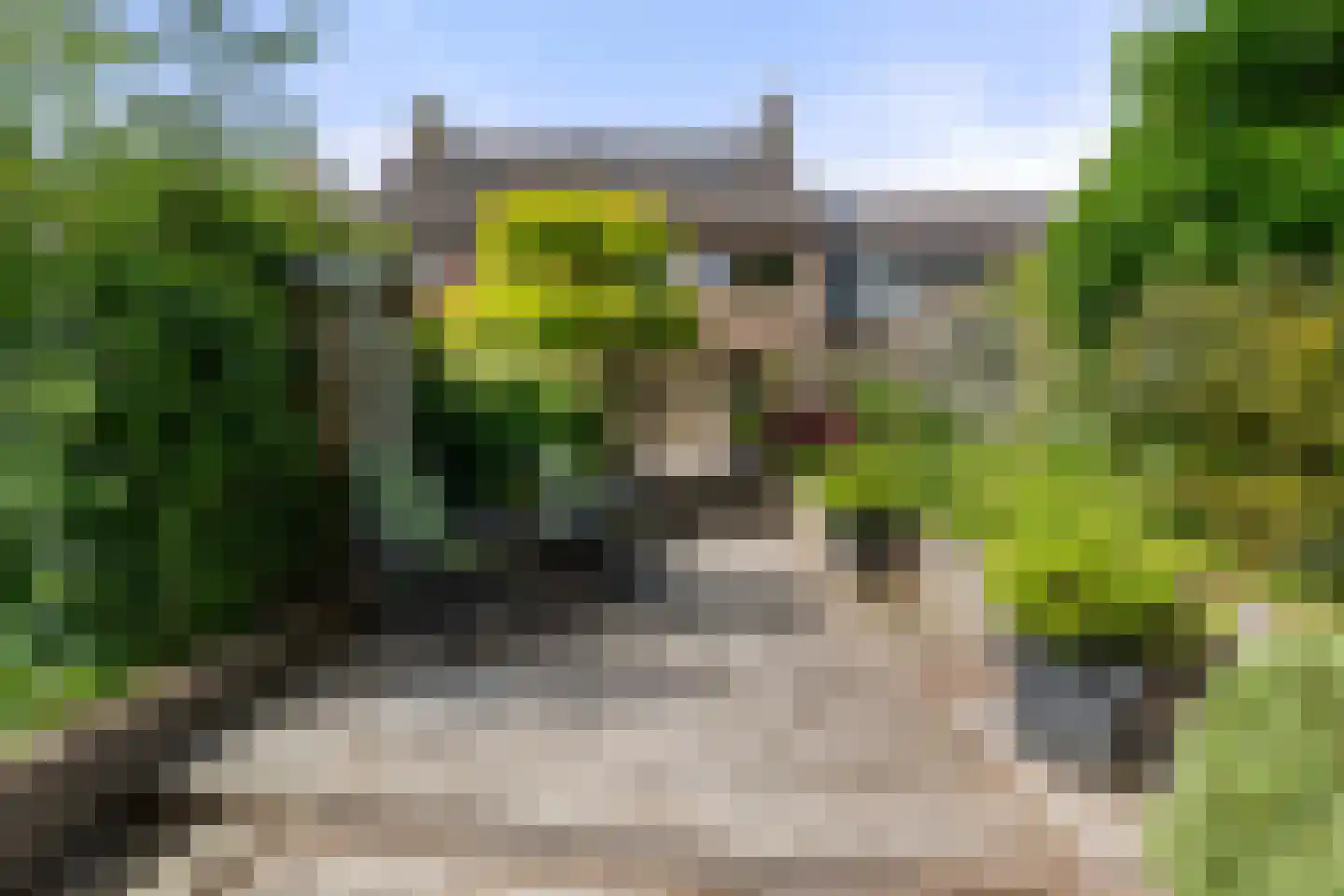 Lekerwaard 151 Alkmaar thumbnail 34