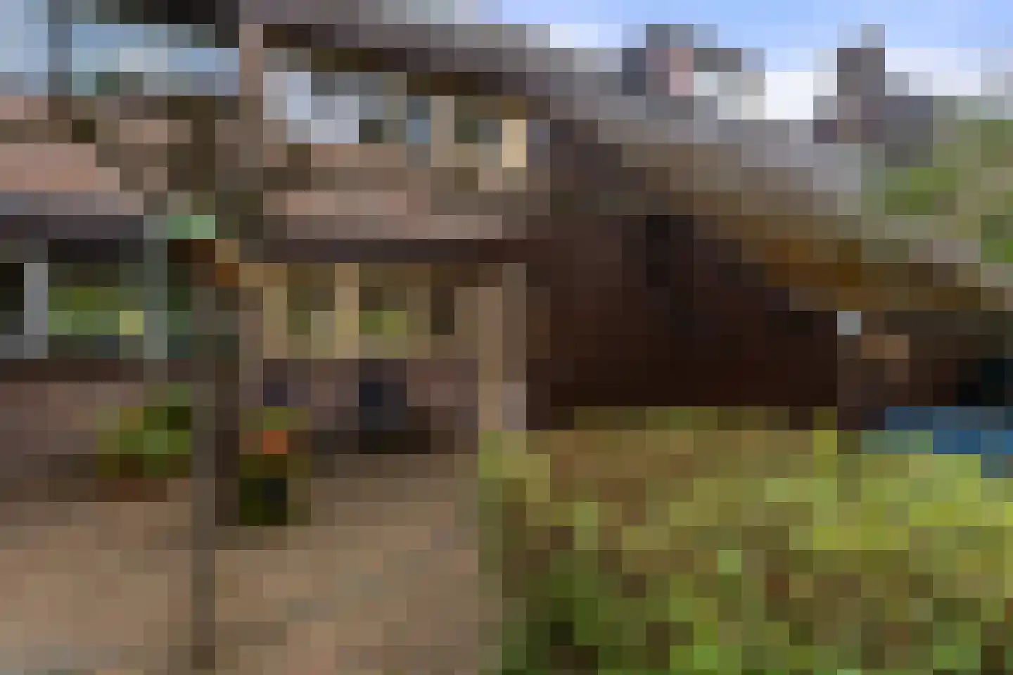 Lekerwaard 151 Alkmaar thumbnail 35