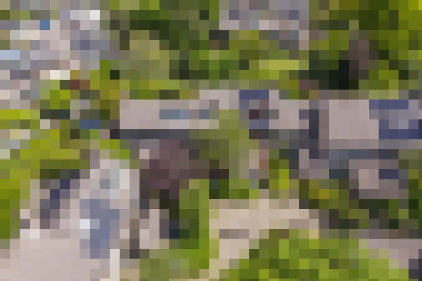 Lekerwaard 151 Alkmaar thumbnail 37