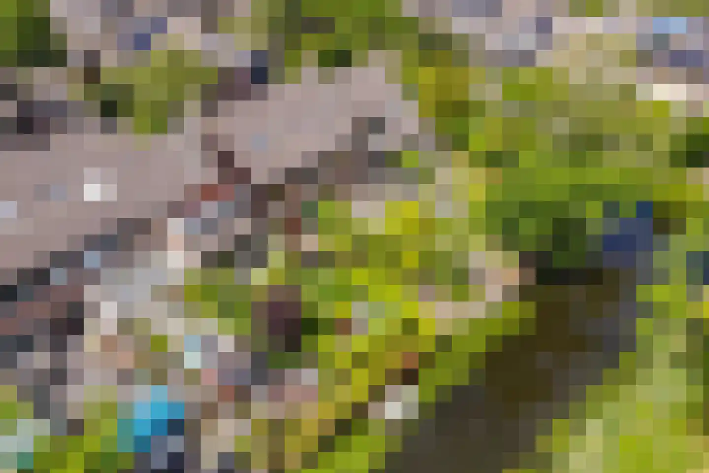 Lekerwaard 151 Alkmaar thumbnail 38