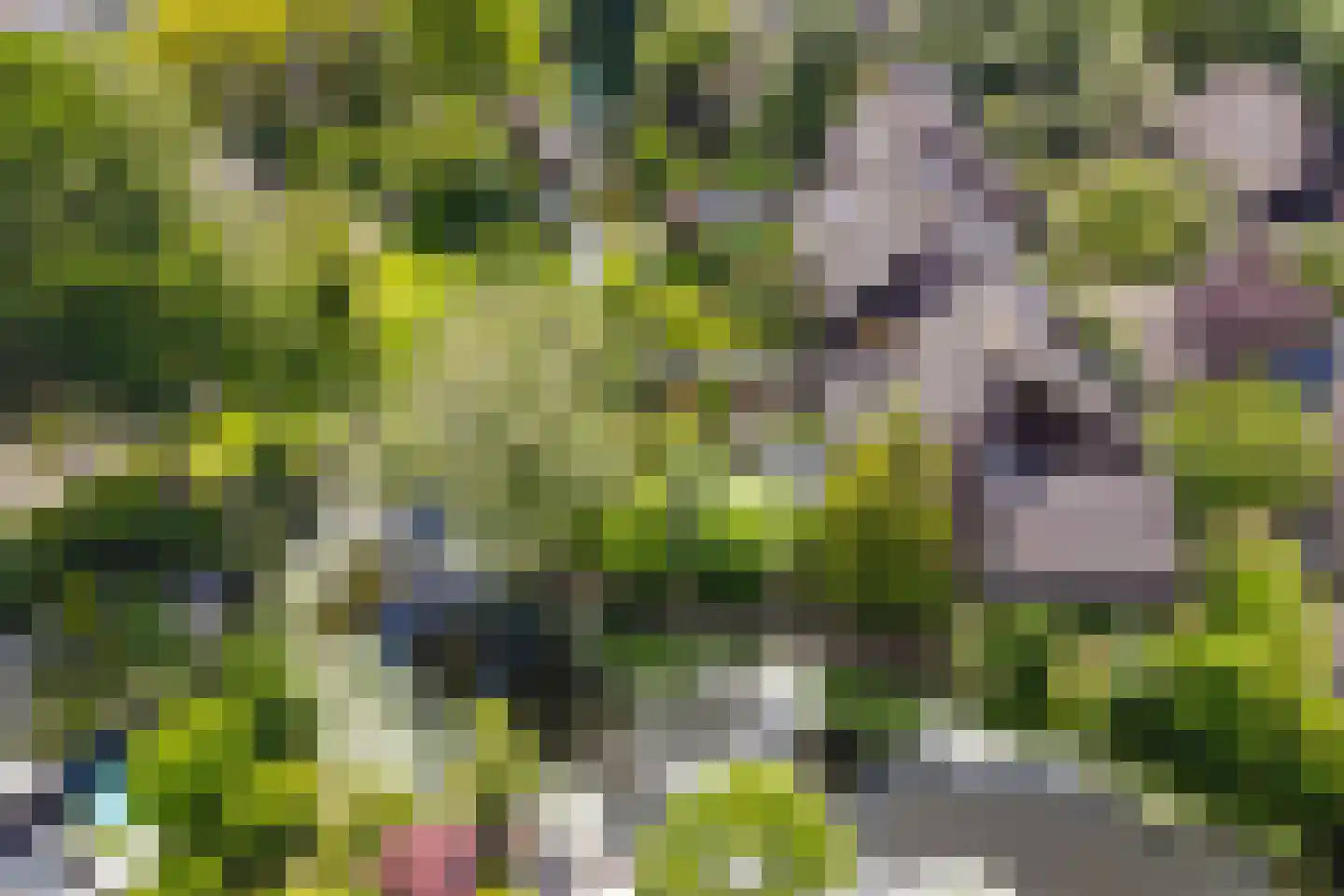 Lekerwaard 151 Alkmaar thumbnail 39