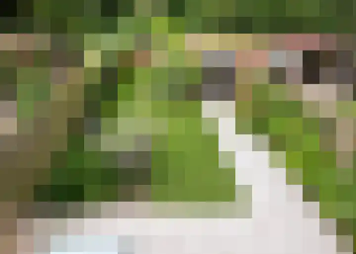 Lekerwaard 19 Alkmaar thumbnail 23