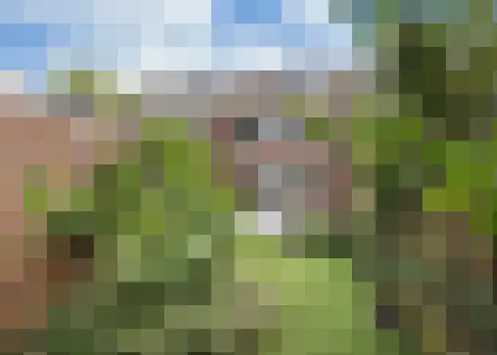 Lekerwaard 19 Alkmaar thumbnail 38