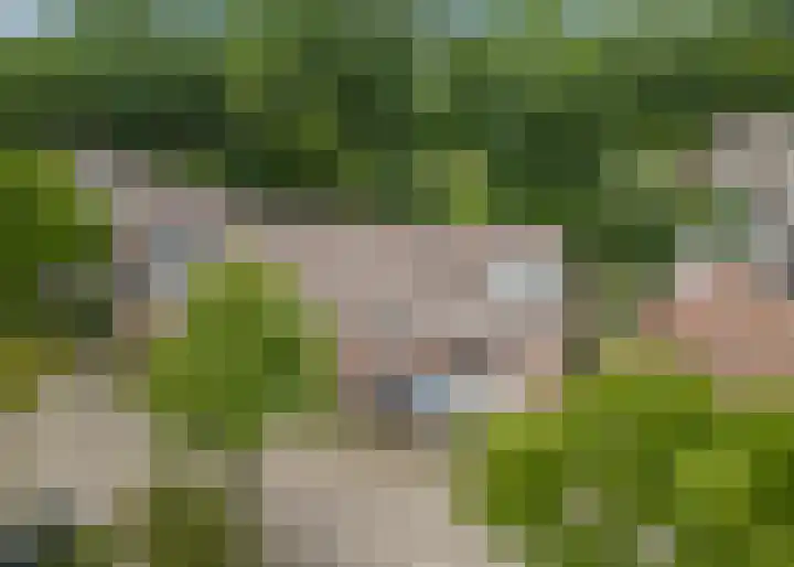 Lekerwaard 19 Alkmaar thumbnail 4