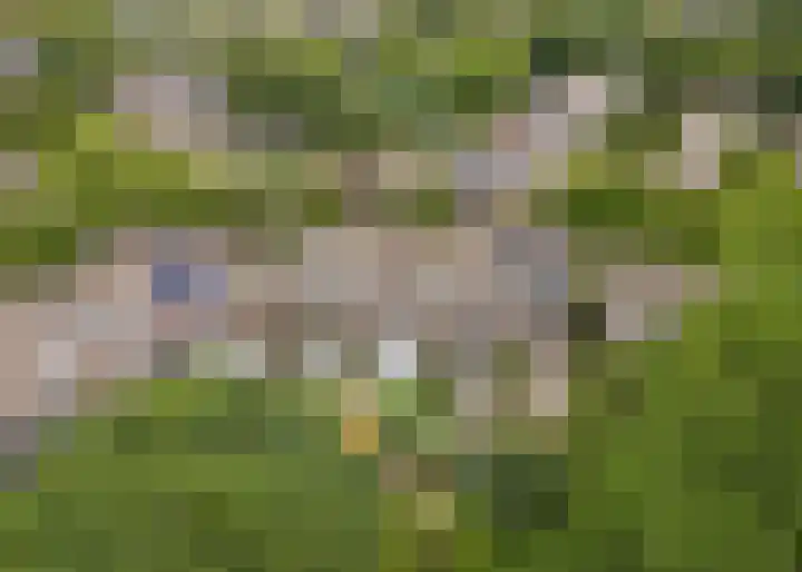 Lekerwaard 19 Alkmaar thumbnail 40