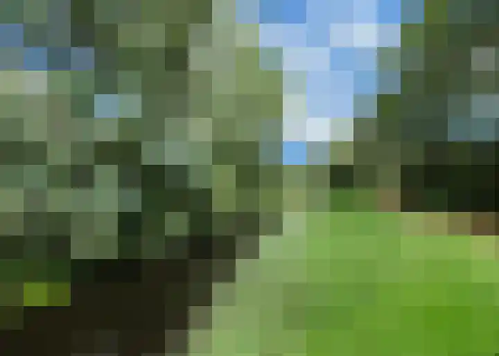 Lekerwaard 19 Alkmaar thumbnail 43