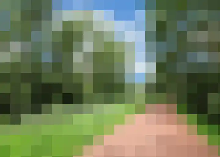 Lekerwaard 19 Alkmaar thumbnail 44